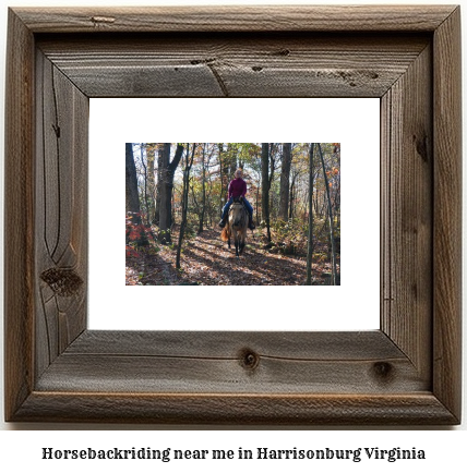 horseback riding near me in Harrisonburg, Virginia